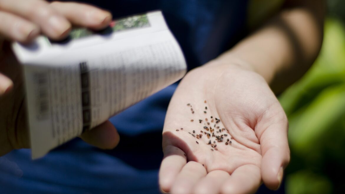 ‘Some of these are nasty’ "You're not quite getting as much bang for your buck."