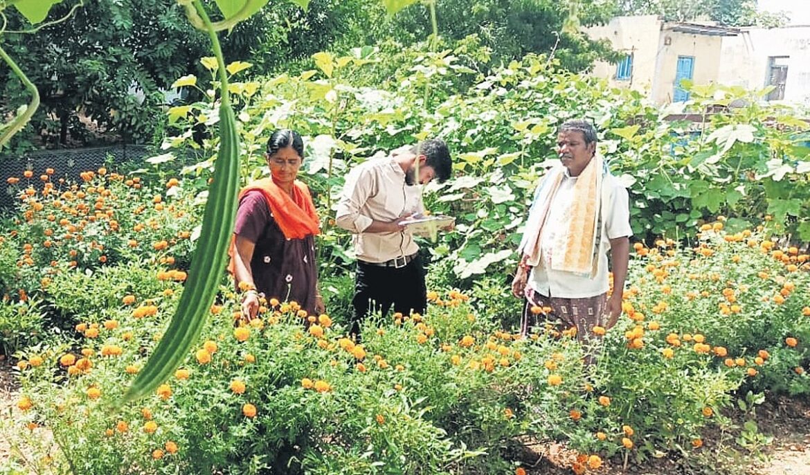 Anantapur farmer’s 365-day kitchen garden is a model of self-sufficiency