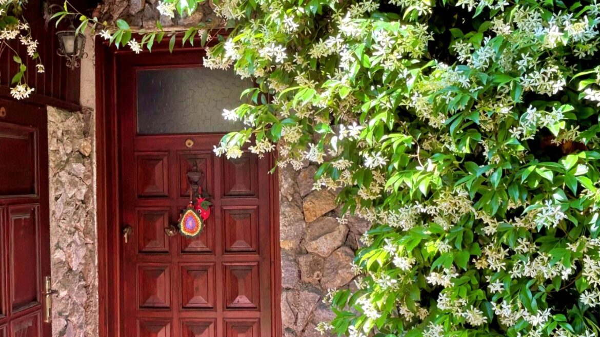 I’m a garden expert - five popular plants that could cause damage to your home including a Bridgerton favourite