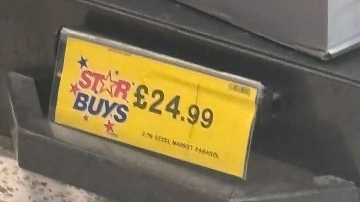 Brits are going wild for £24.99 Home Bargains garden buy - that's ‘massive’ & would set you back £69.99 elsewhere