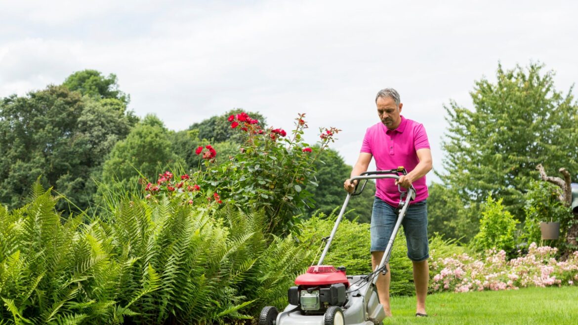 Ex-royal gardener reveals what you should NEVER do to your lawn to keep grass green & healthy Ex-royal gardener reveals what you should NEVER do to your lawn to keep grass green & healthy