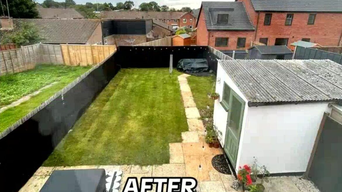 Four of the cheapest & easiest ways to transform your garden without spending a fortune – it’ll look amazing for summer Four of the cheapest & easiest ways to transform your garden without spending a fortune - it’ll look amazing for summer