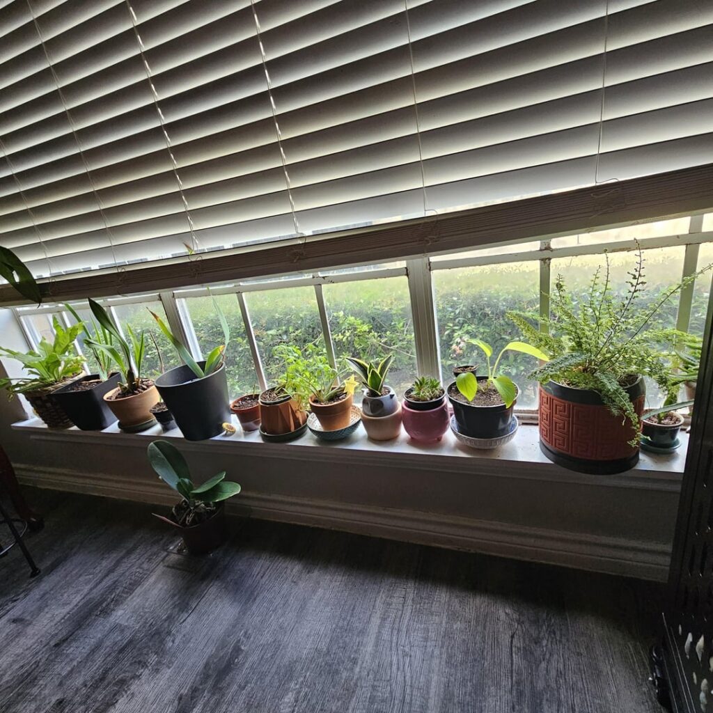 POV: Your Apartment Only Has One Good Window. POV: Your Apartment Only Has One Good Window.