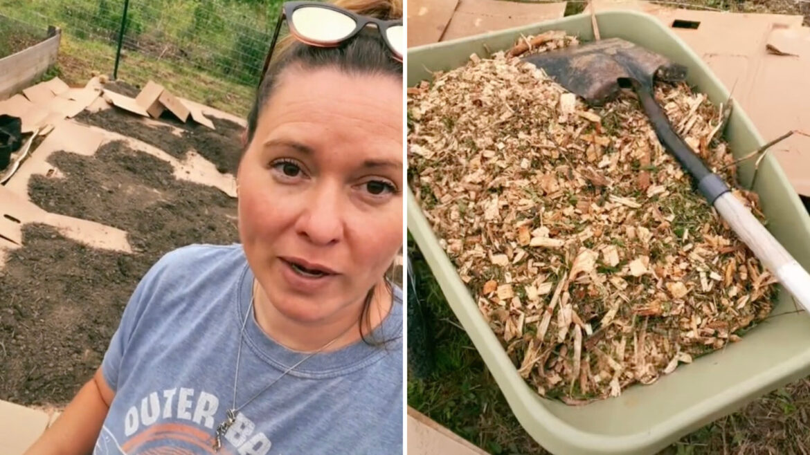 "This is better for moisture retention than soil."
