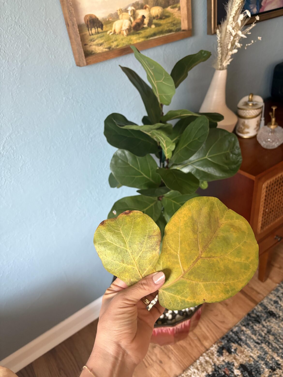 Better to move a FLF twice than wait it out?