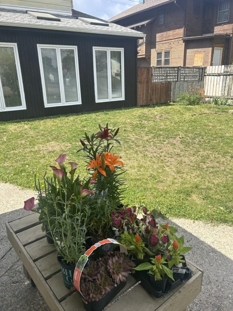 Help with flowers Help with flowers