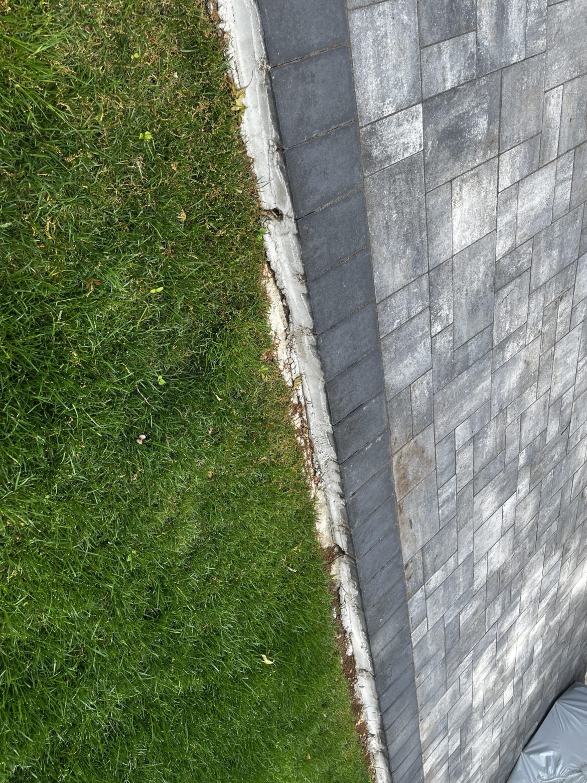 Paver transition help?