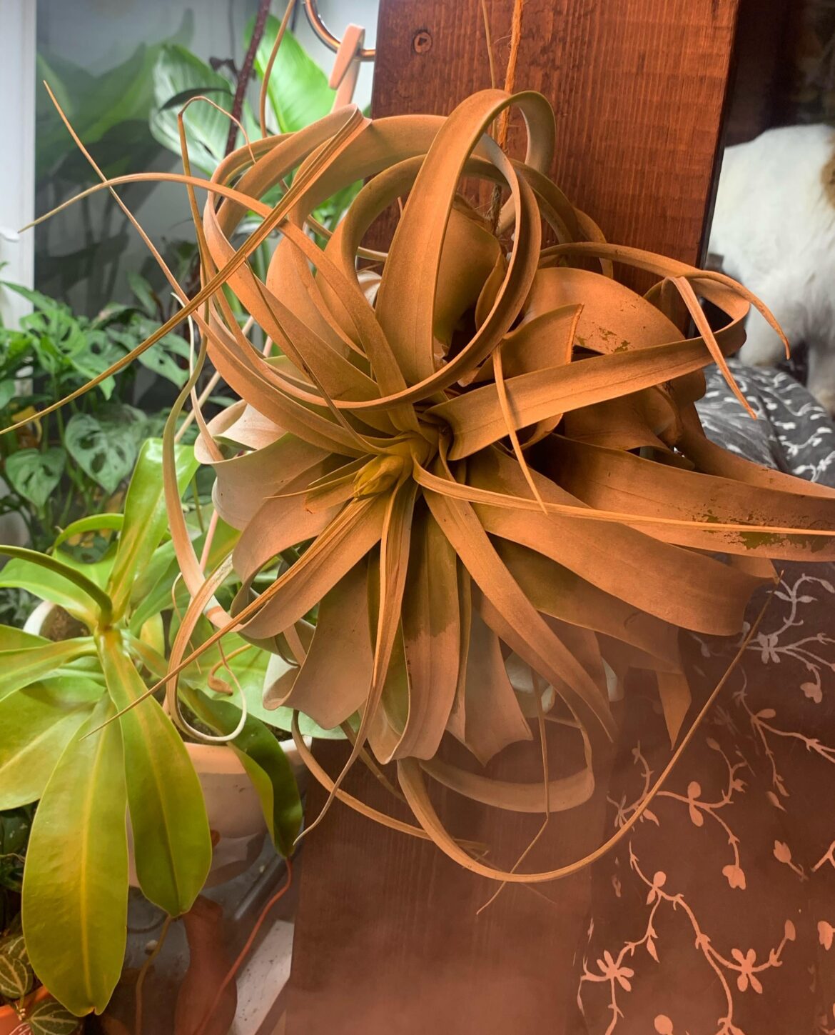 Girls huge Girls huge