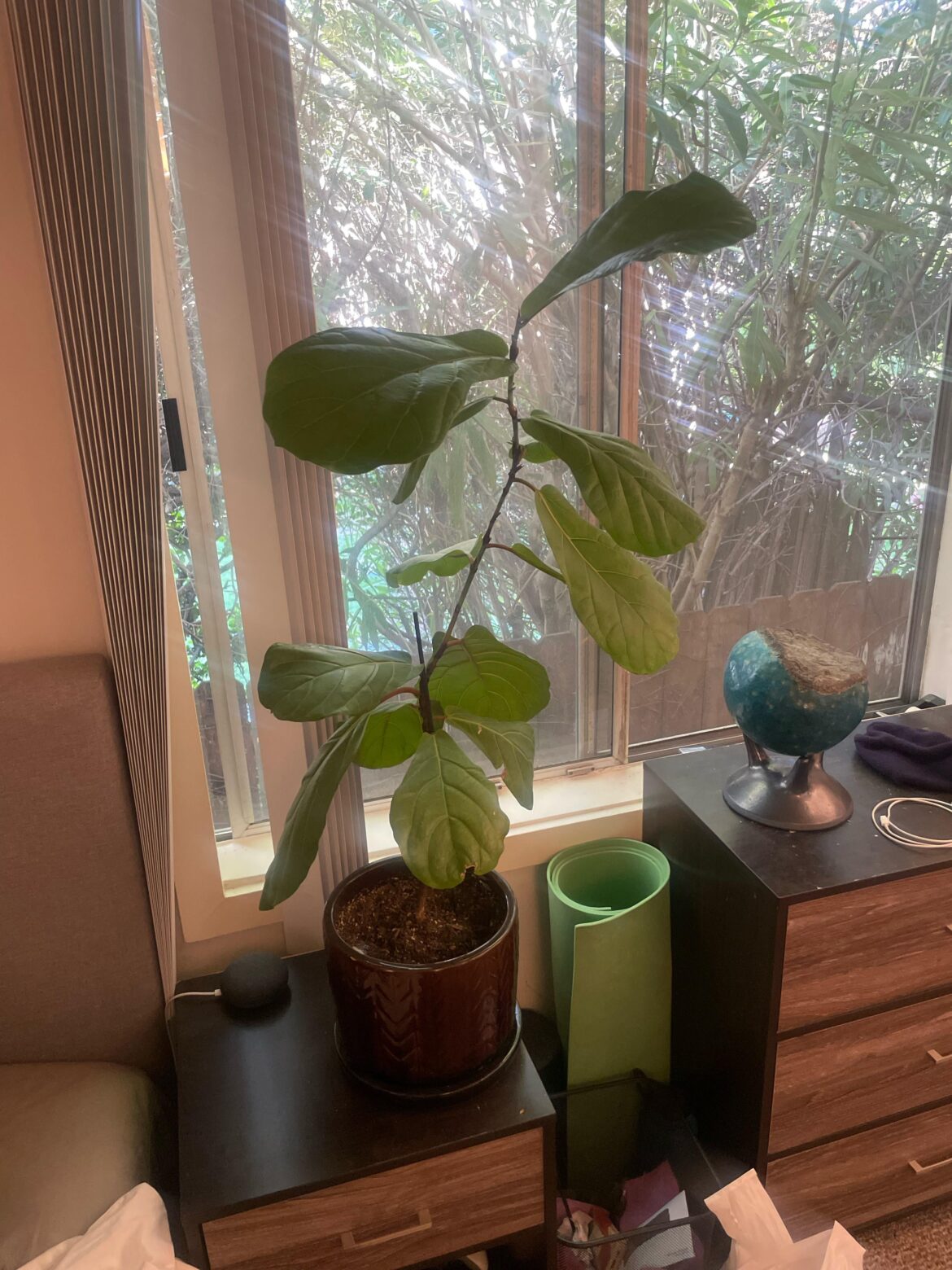 Any advice Any advice