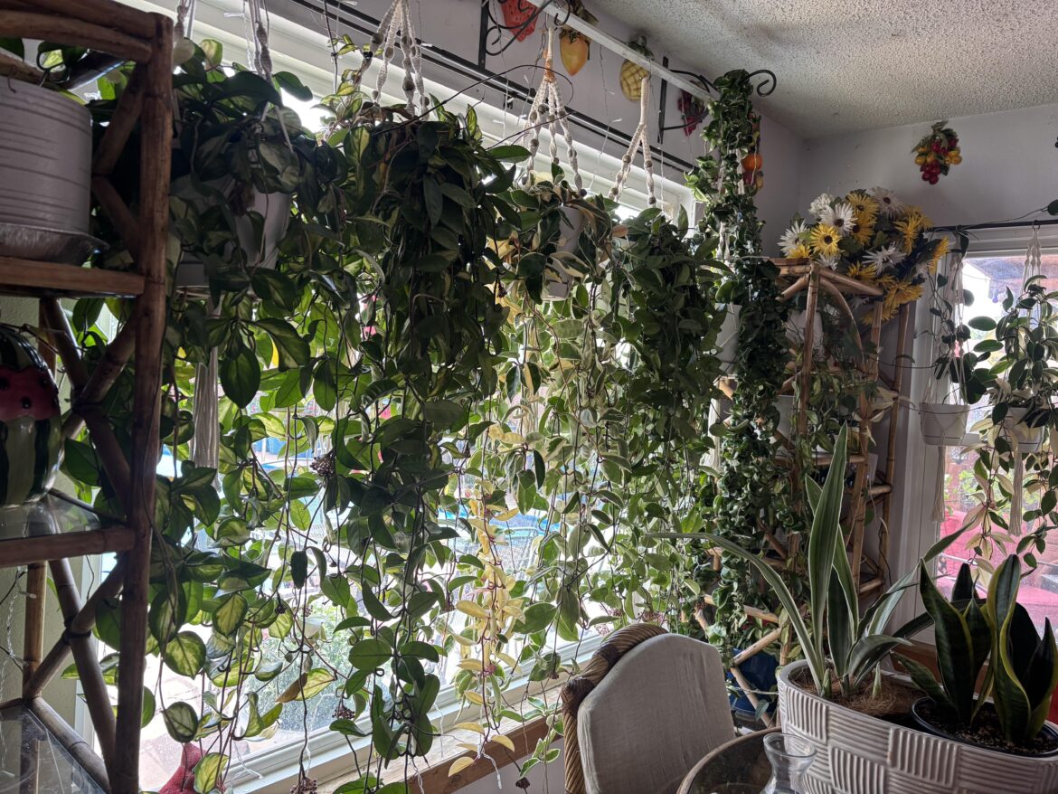 Mom mom’s friends hoyas 😍