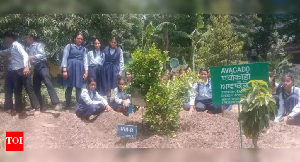 Kitchen garden initiative launched in UT govt schools | Chandigarh News