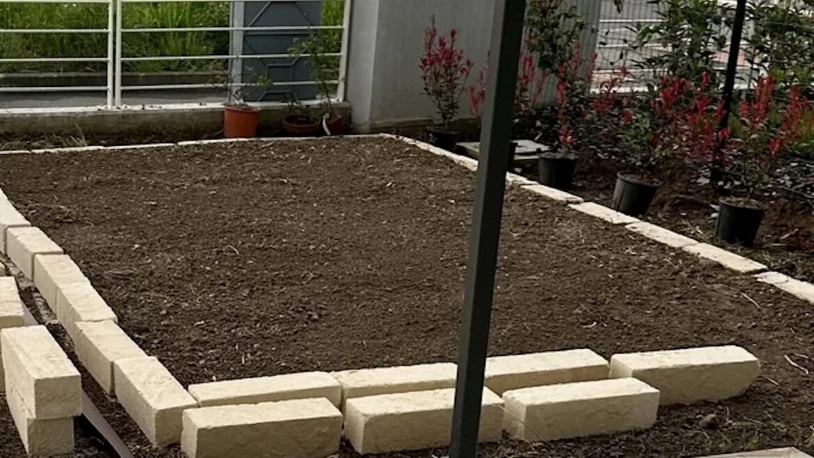 Gardener warned against using common landscaping technique with surprising consequences: ‘I won’t use them’ "You'll fight it the whole time you're installing it."
