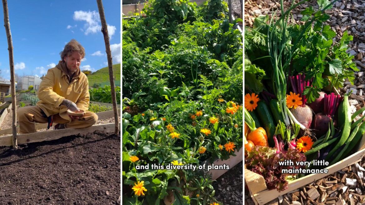 'This worked really well for me'