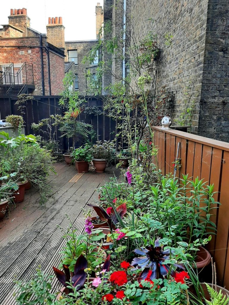 View of a roof garden with plants in pots.