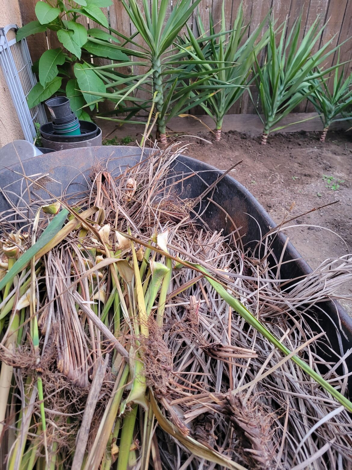 Can I compost this?