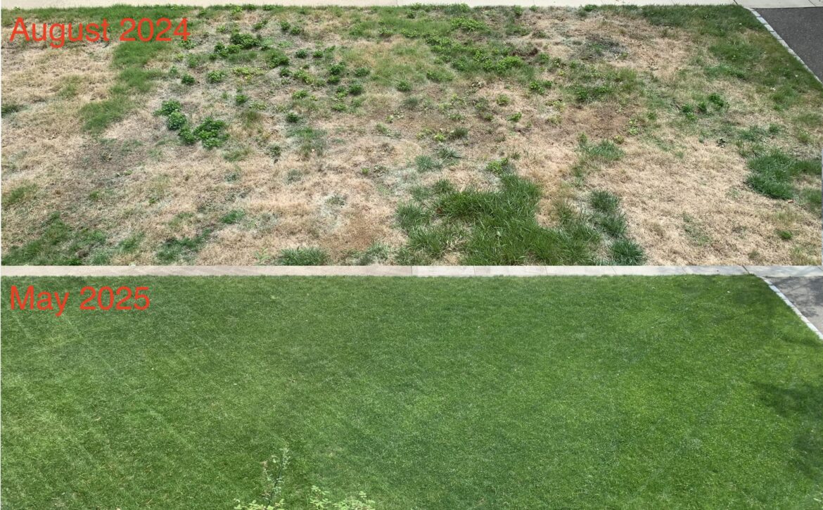 Quite proud of how this came out