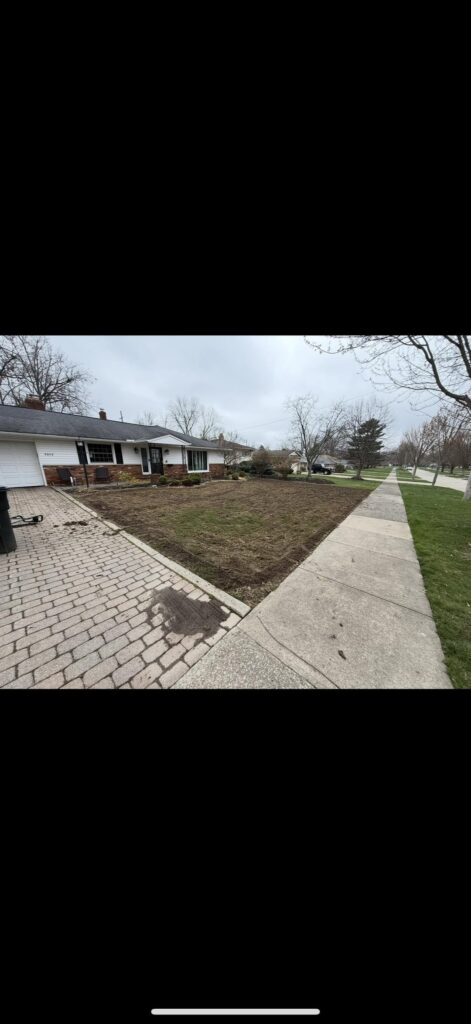 My lawn exactly 4 weeks ago vs today!