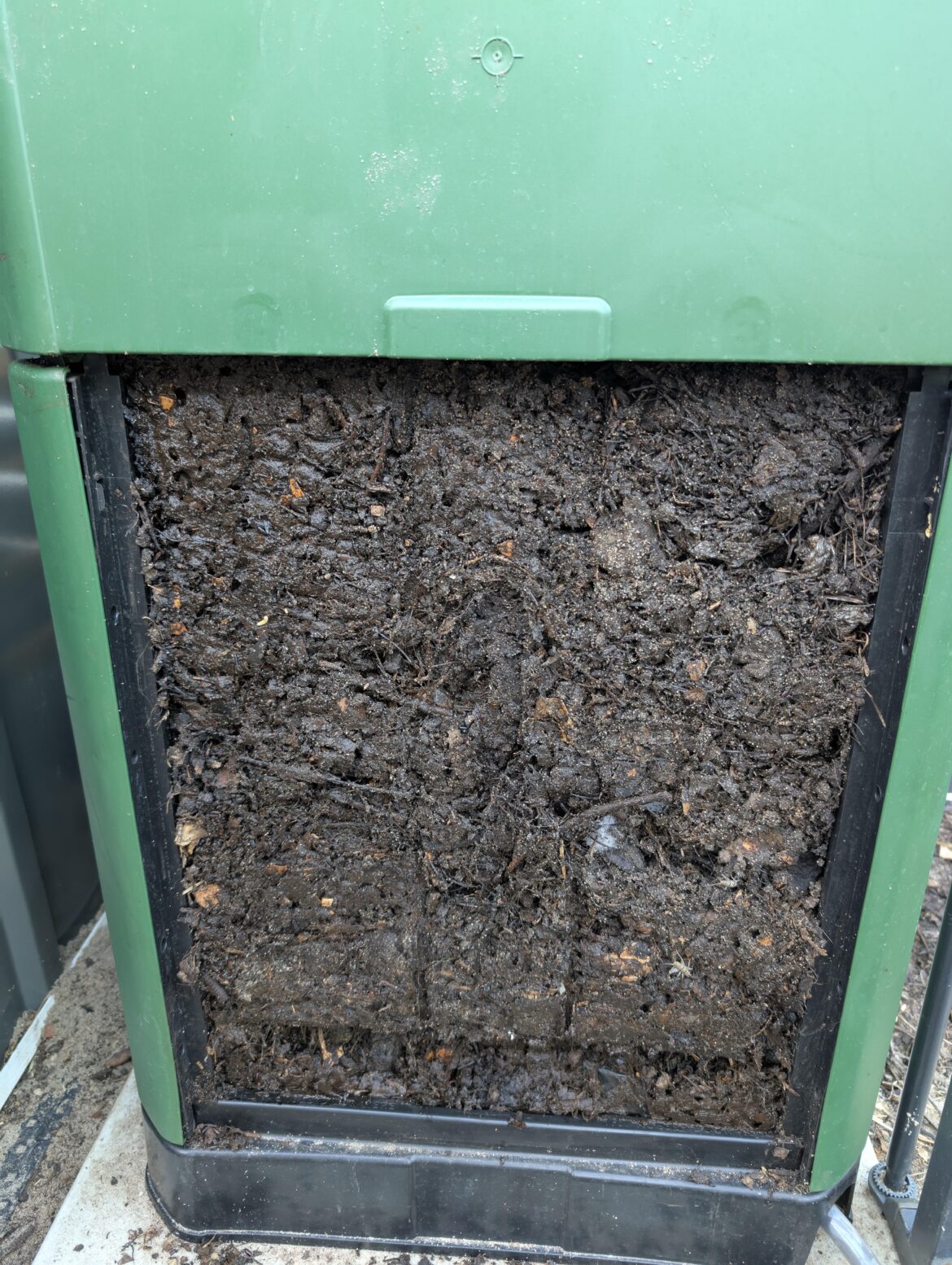 My first ever compost haul. So strange how something like compost can be so exciting.