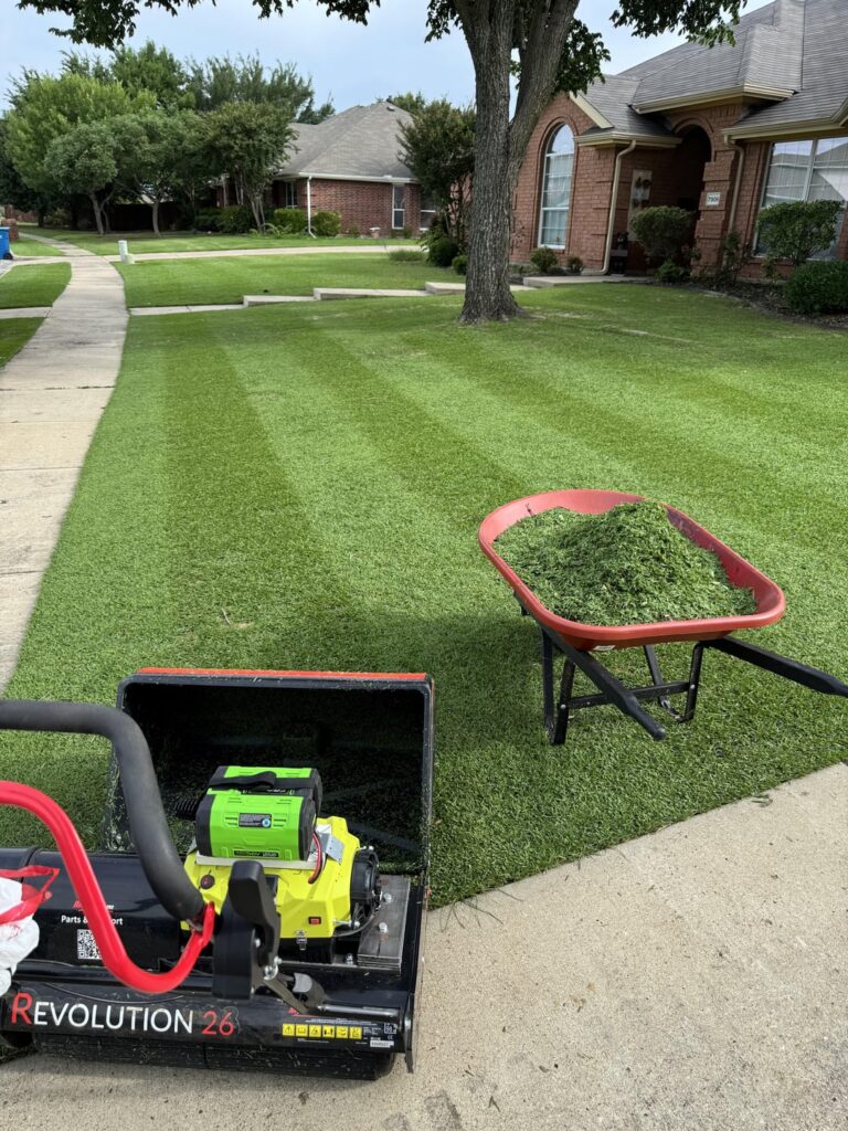 Palisades Zoysia cleaning up nicely on a Texas morning.