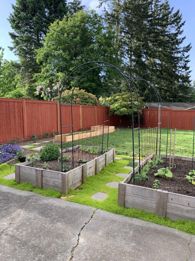 Removing sod and creating a garden 🐛