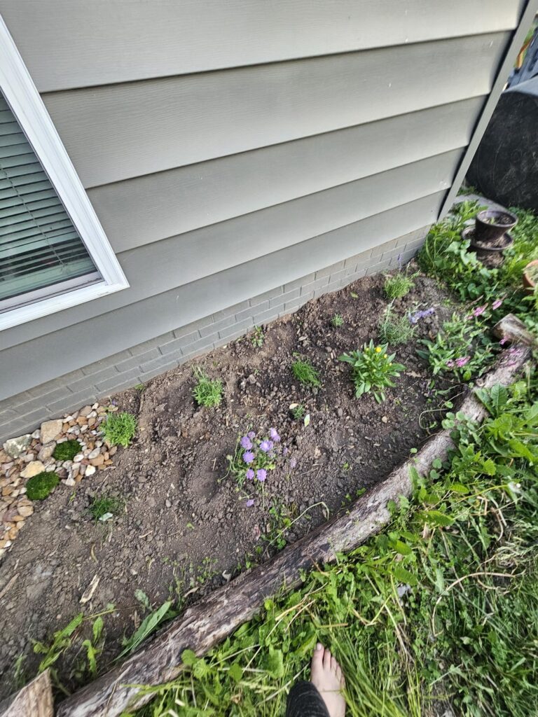 Used to be just dirt here
