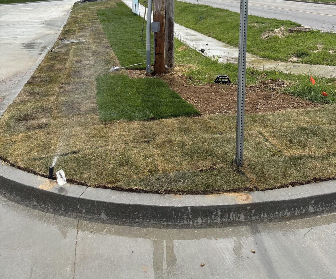 Will this sod make it? How can I help it besides watering it like crazy? Will this sod make it? How can I help it besides watering it like crazy?