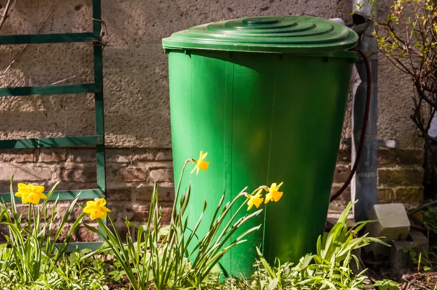 Garden Talk: Save money by being water wise in your yard this summer Garden Talk: Save money by being water wise in your yard this summer