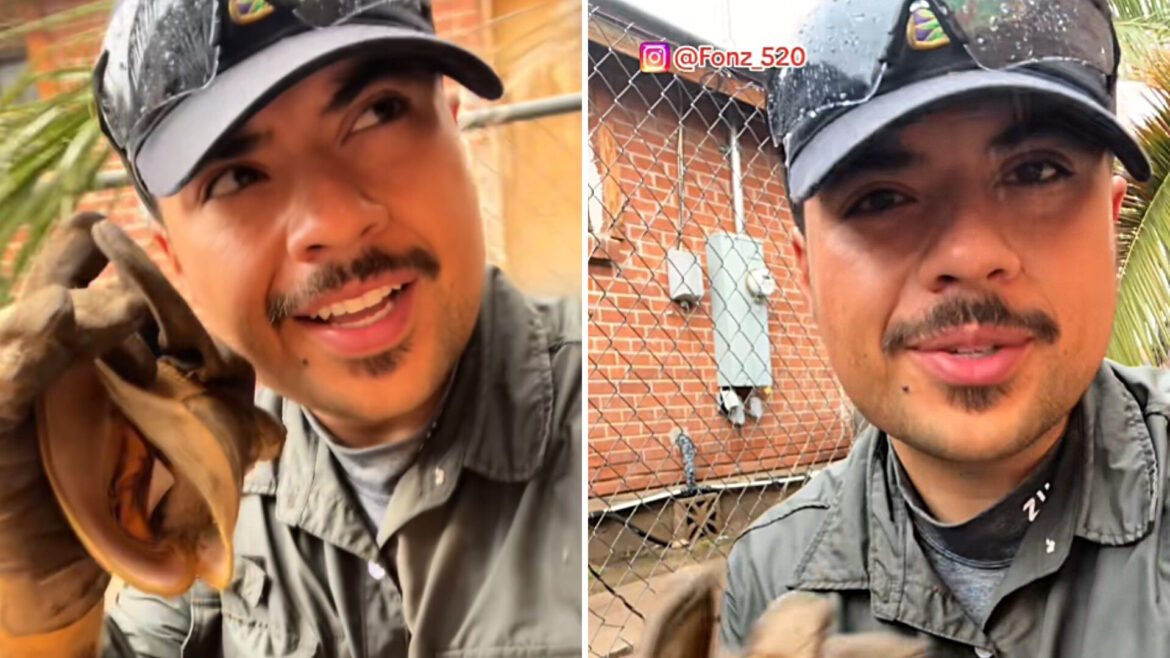 Gardener shares ancient method that helps trees thrive in the desert: ‘Every drop counts’ "I like the way you think!"