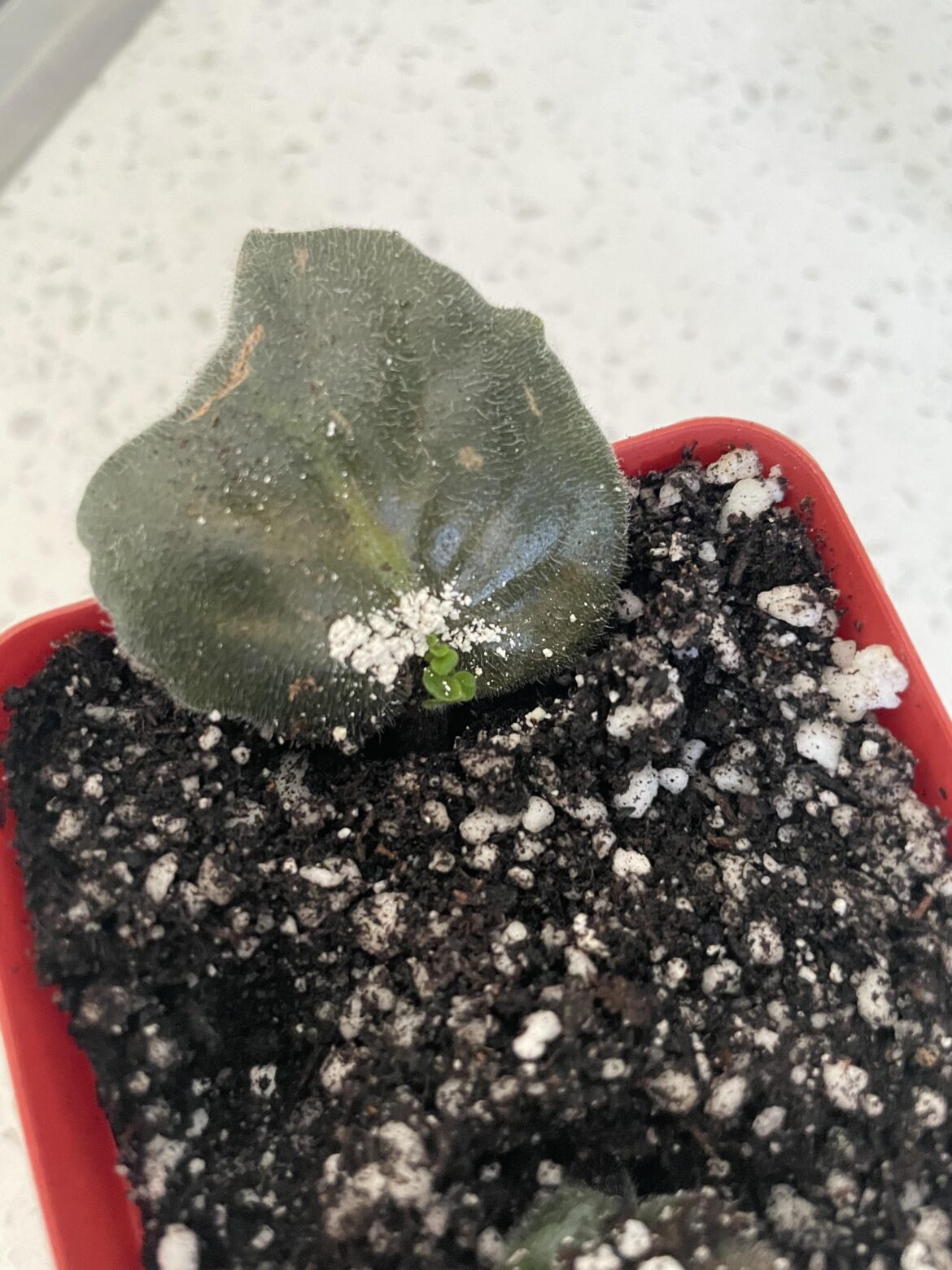 My first time