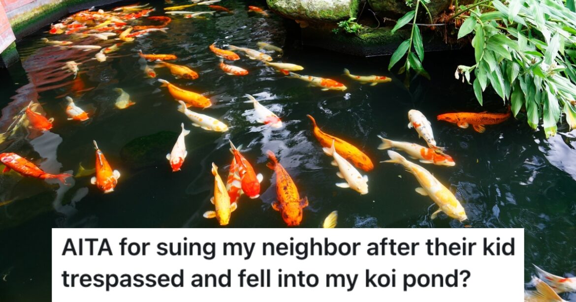 His Neighbor’s Son Ruined His Expensive Koi Pond, So Instead Of Paying The Kid’s Medical Bills, He’s Suing The Neighbor » TwistedSifter keys, money and home plans