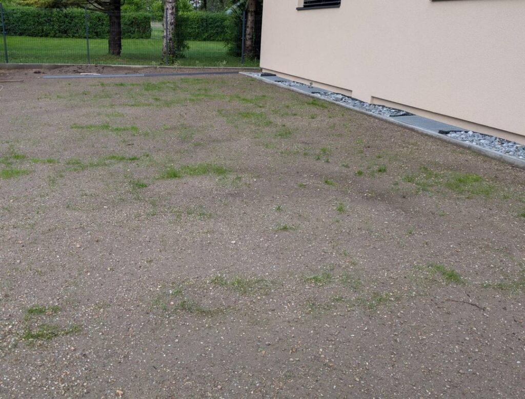 awn not growing 4 weeks after installation – bad soil? awn not growing 4 weeks after installation – bad soil?