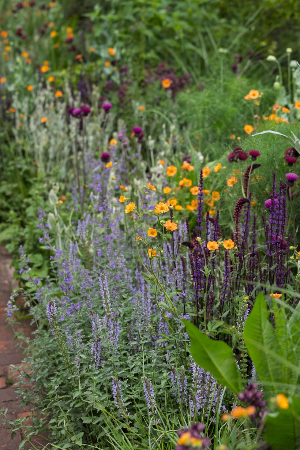 RHS and BBC Radio 2 Dog Garden. Designed by Monty Don. Show Feature. RHS Chelsea Flower Show 2025 rhs and bbc radio 2 dog garden. designed by monty don. show feature. rhs chelsea flower show 2025. site no. 329