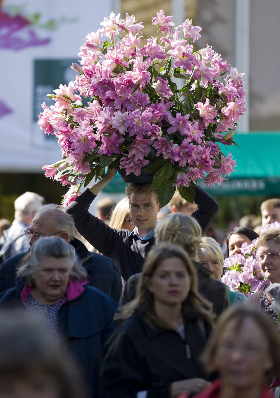 a man carries a large plant on his head as he leaves after making a purchase from the final day of the chelsea flower show in london on may 24, 2014. afp photo / justin tallis (photo credit should read justin tallis/afp via getty images)