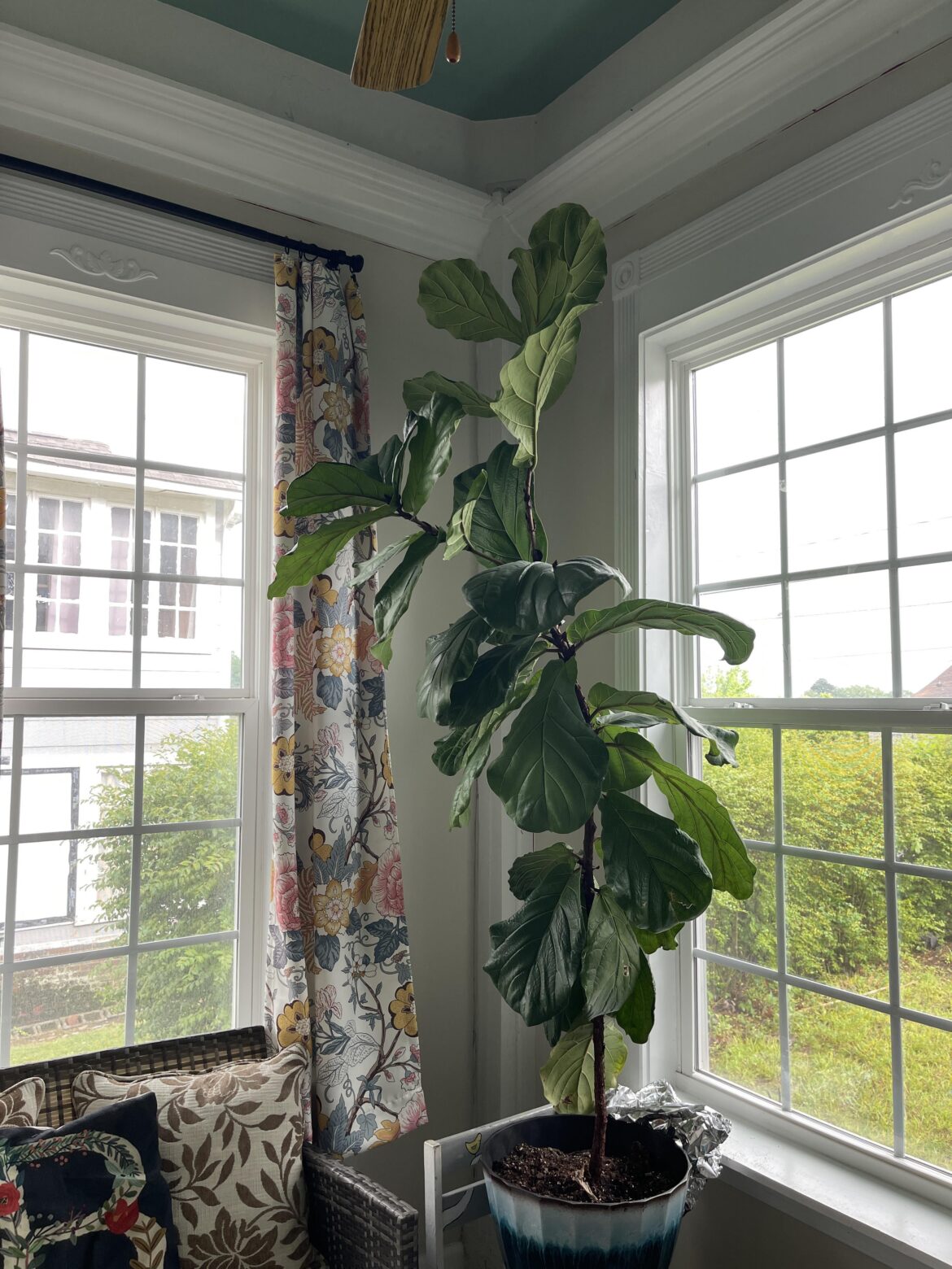 Should i chop? Should i chop?