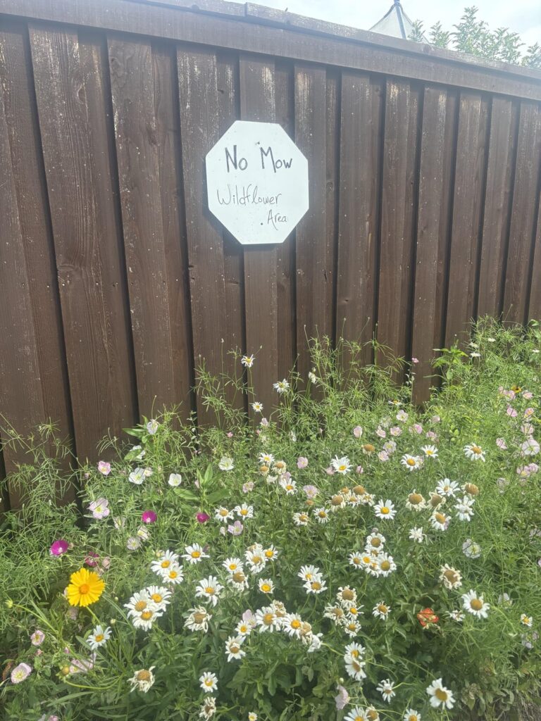 Happy Alley