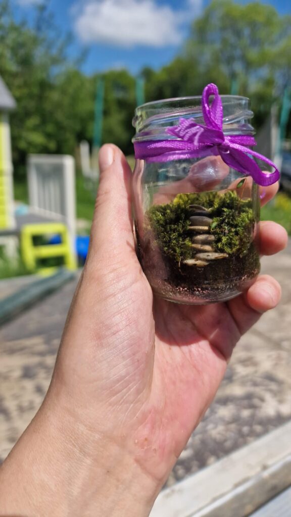Mon premier mini mossarium