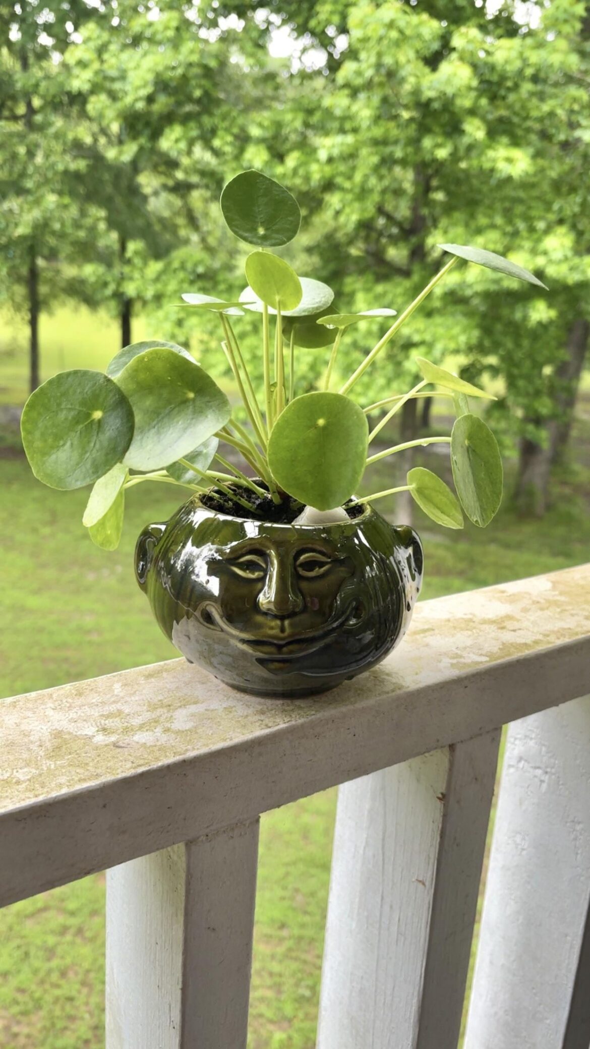 Mother’s Day gift for my momma!