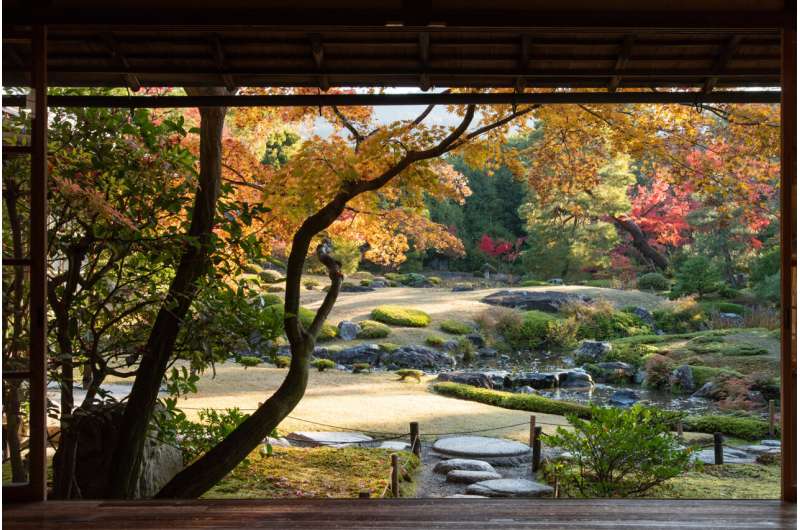 Seeing well-designed gardens could relax us almost immediately because we look at them differently