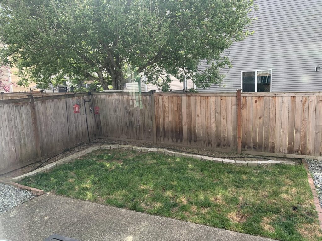 Backyard Design Help