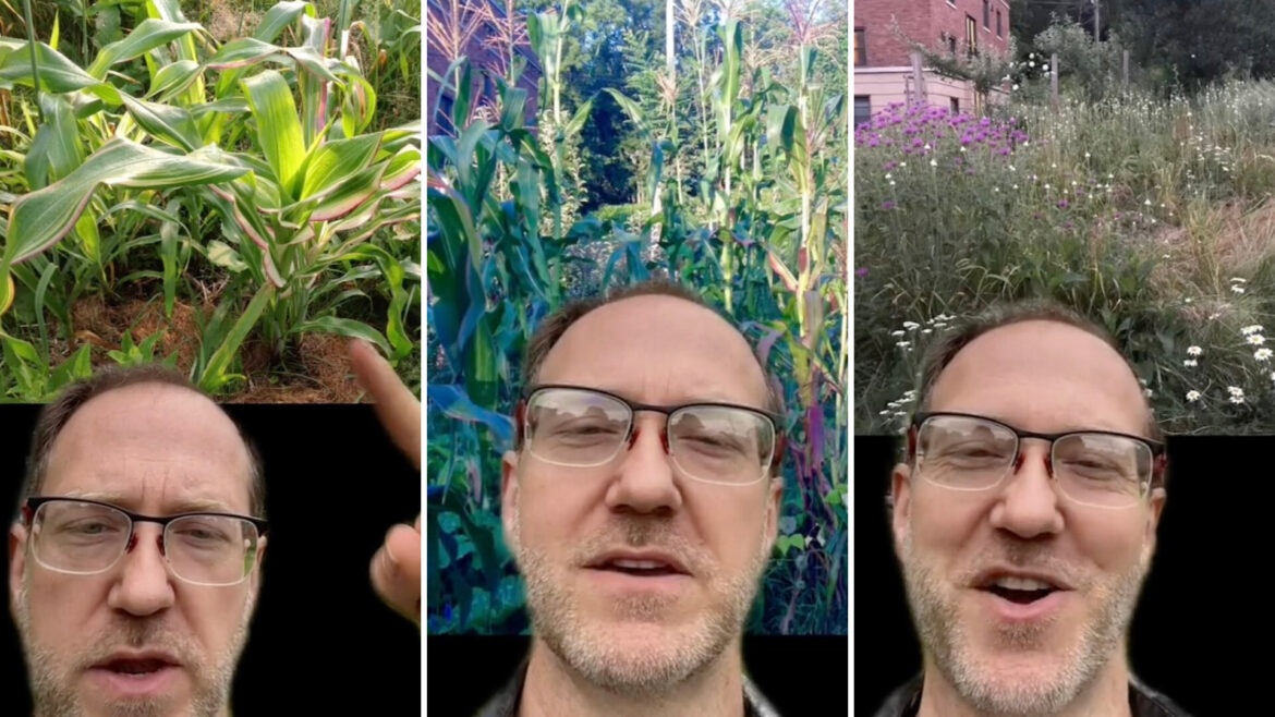 ‘This is a nature hack’ "Set it and forget it."