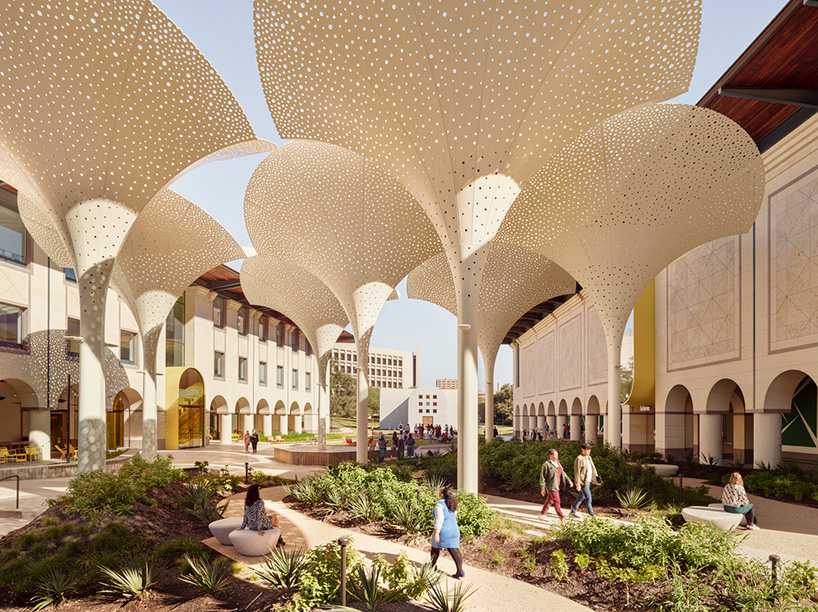 snøhetta's revised landscaping encircles arched petal canopy in austin's blanton museum