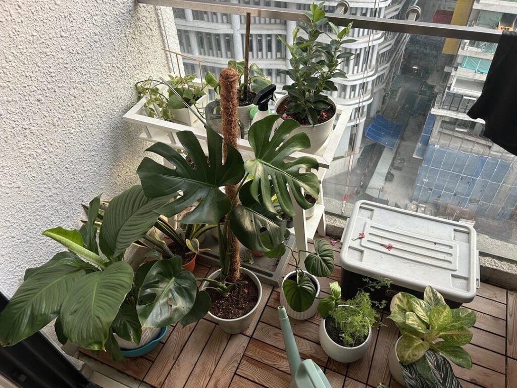 How lucky are we that we get to have plants ❤️