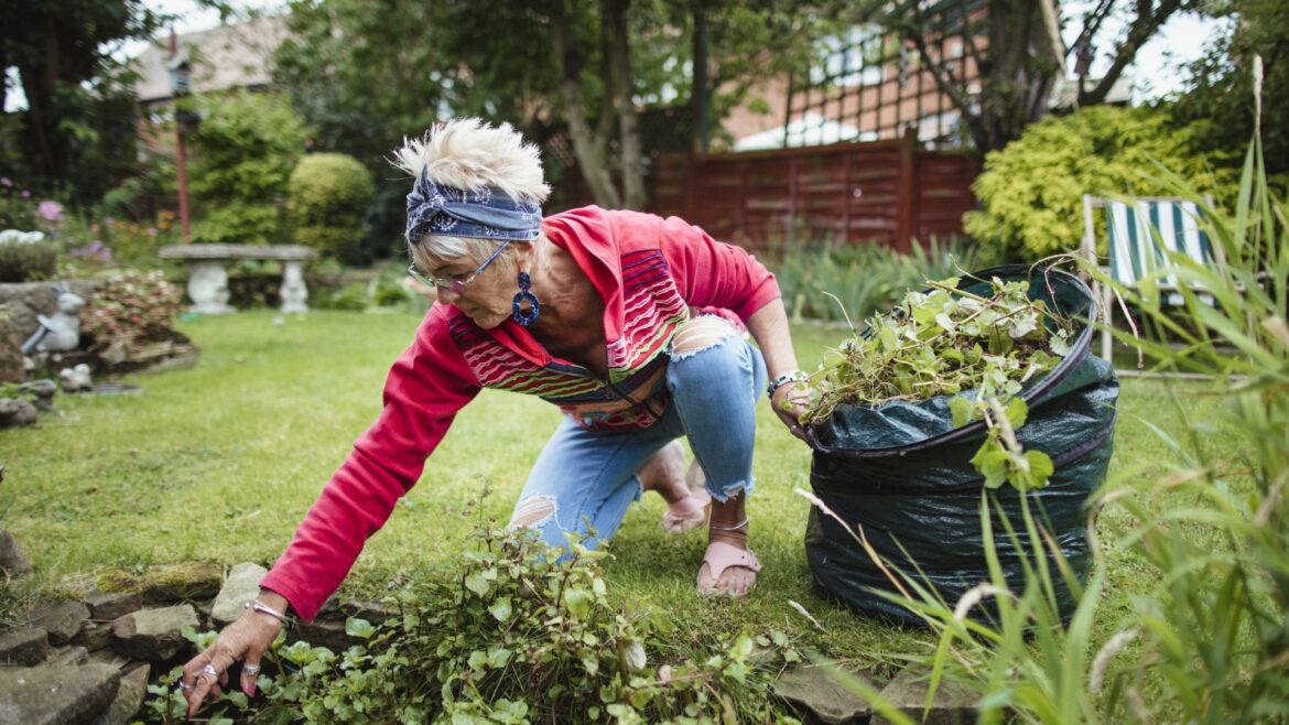 I was so fed up of pulling out weeds in my garden – a £6 buy stopped them growing in the first place & improves my soil I was so fed up of pulling out weeds in my garden - a £6 buy stopped them growing in the first place & improves my soil
