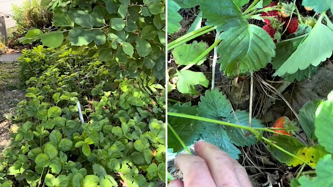 "I've done the same!"