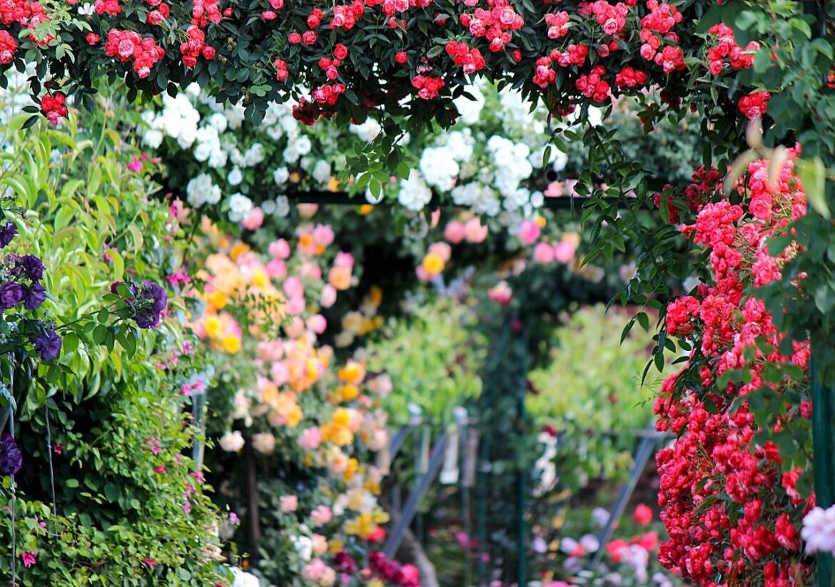 leading the way in green gardening innovations leading the way in green gardening innovations