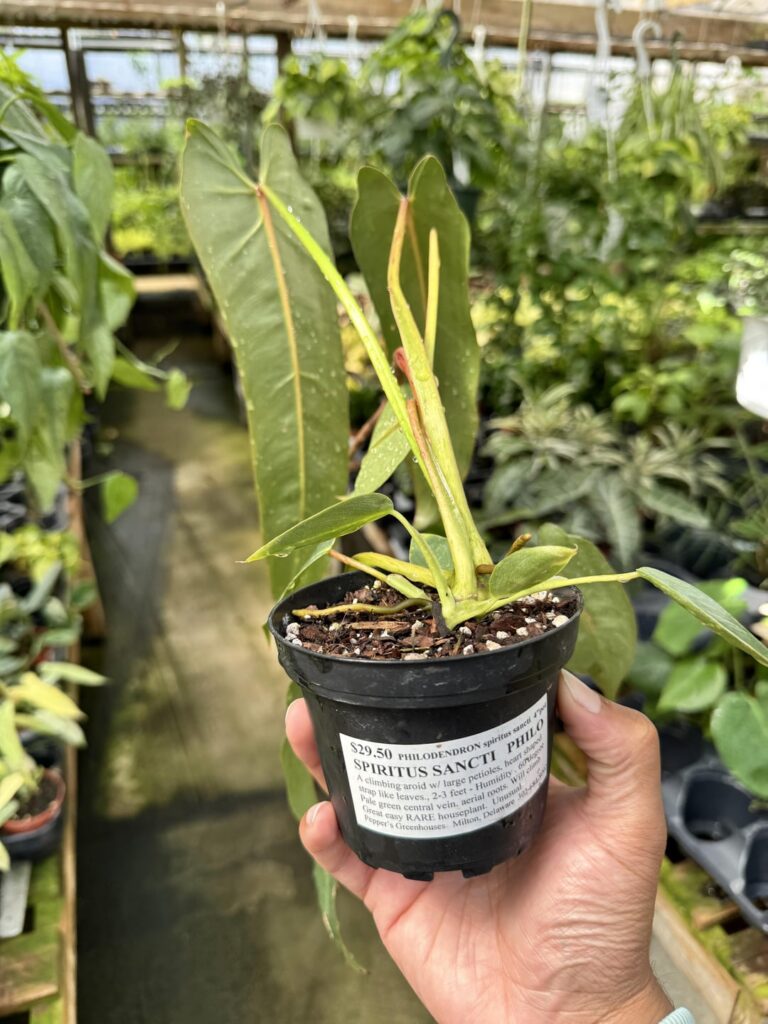 We have come so far! You guys remember when this was thousands of dollars