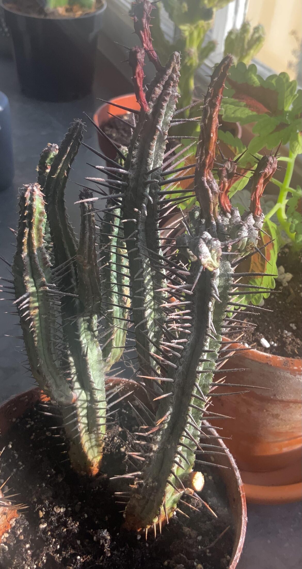 What’s wrong with it? What’s wrong with it?