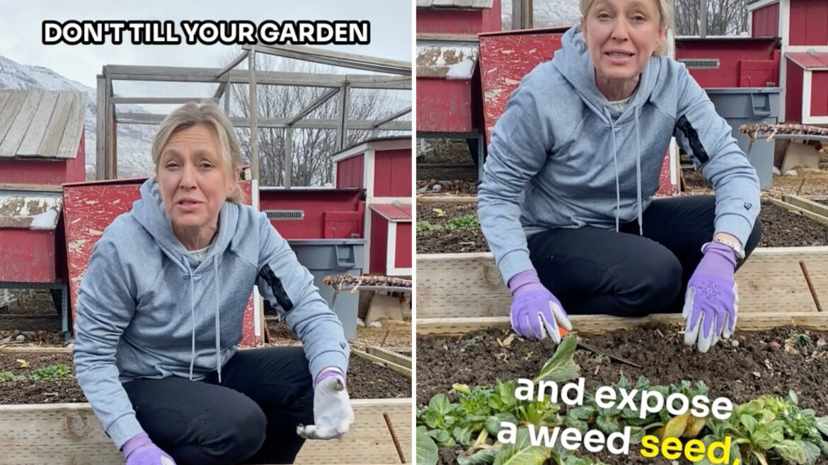 ‘You just took so much off my plate’ The TikTok comment section has been lit up by debate.