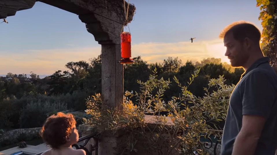 Prince Harry and his son Archie watching hummingbirds at sunset.