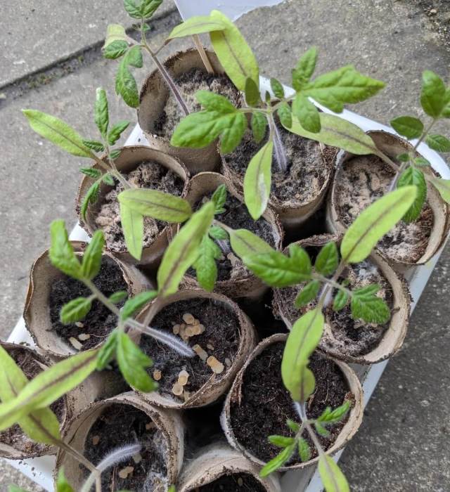 "It's good to see it in your soil."